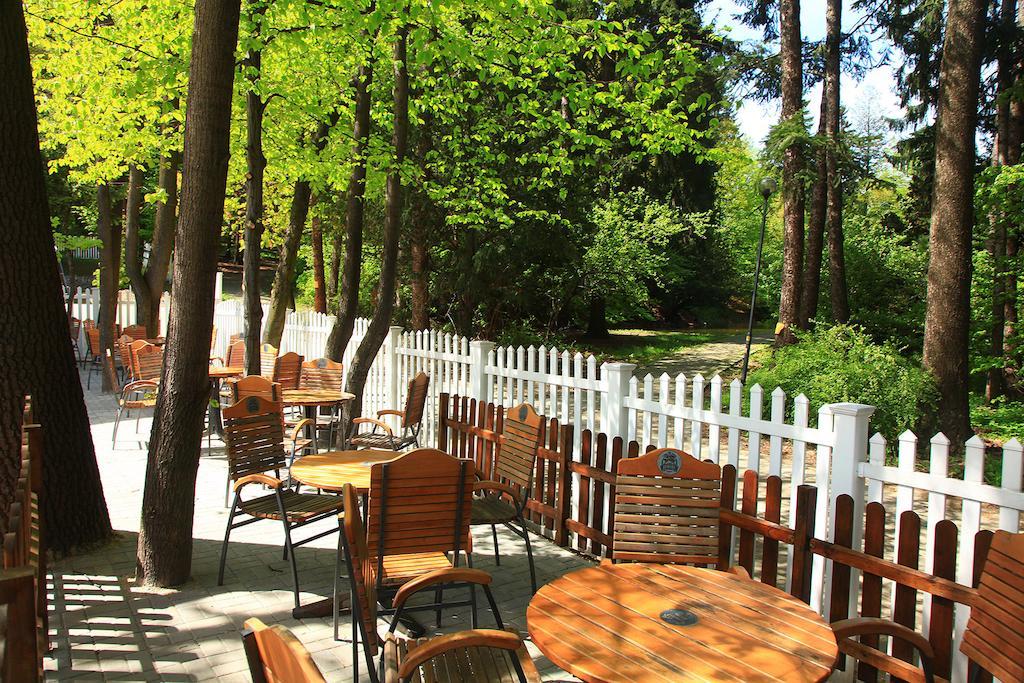 Hotel Camelot Szczawno-Zdroj Buitenkant foto